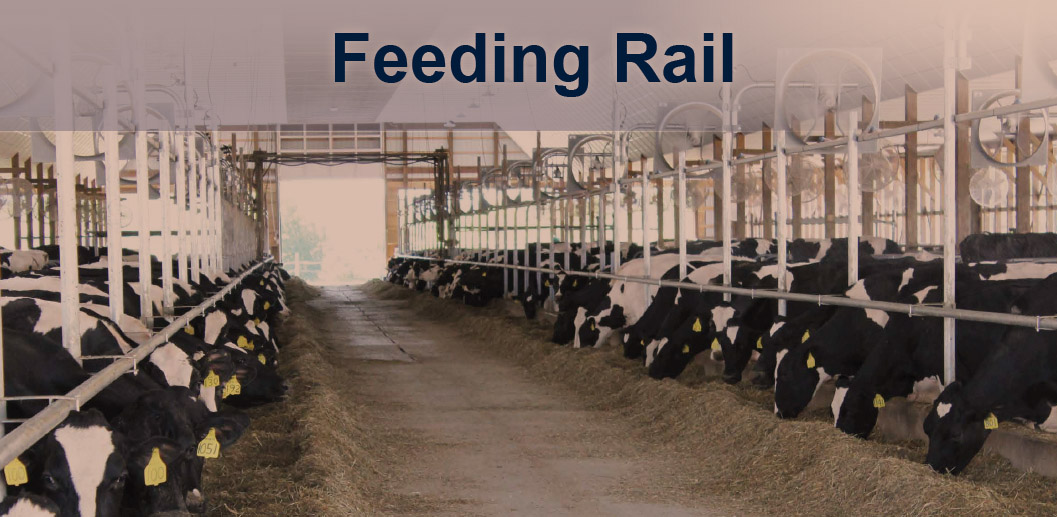 Feed Line-Feeding Rail